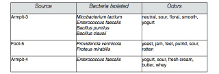 Illustration for article titled What does cheese made from armpit and nose bacteria smell like?